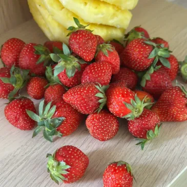 Fraises