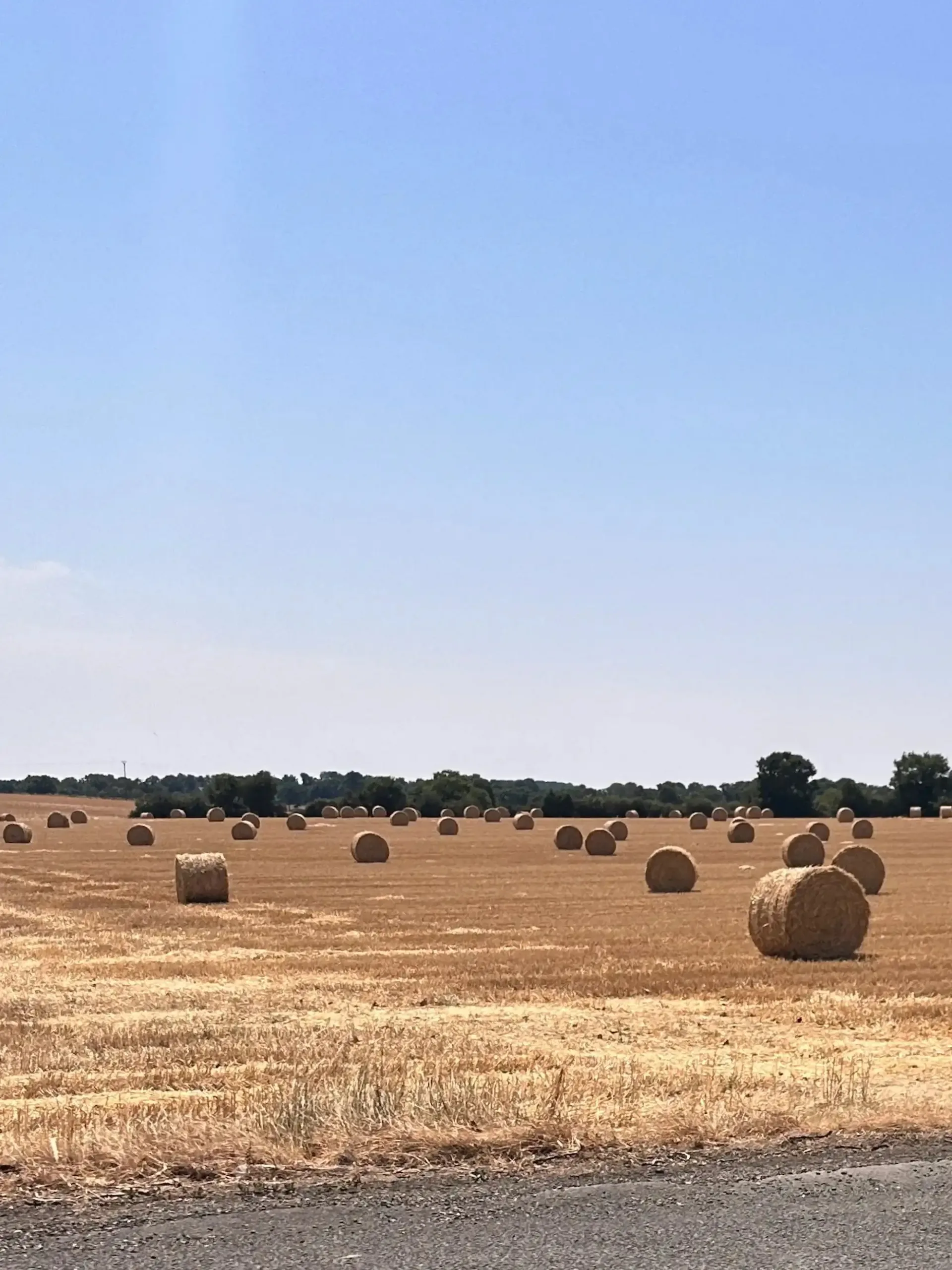 Balles rondes de foin en Beauce