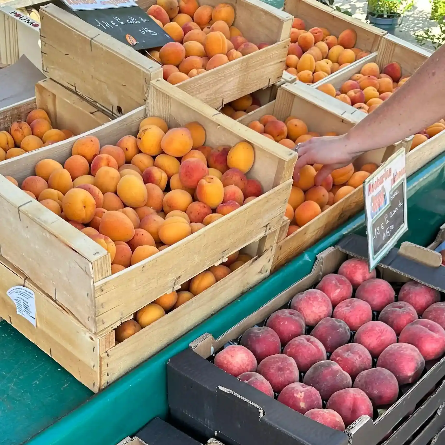Etale de marché nectarines et abricots
