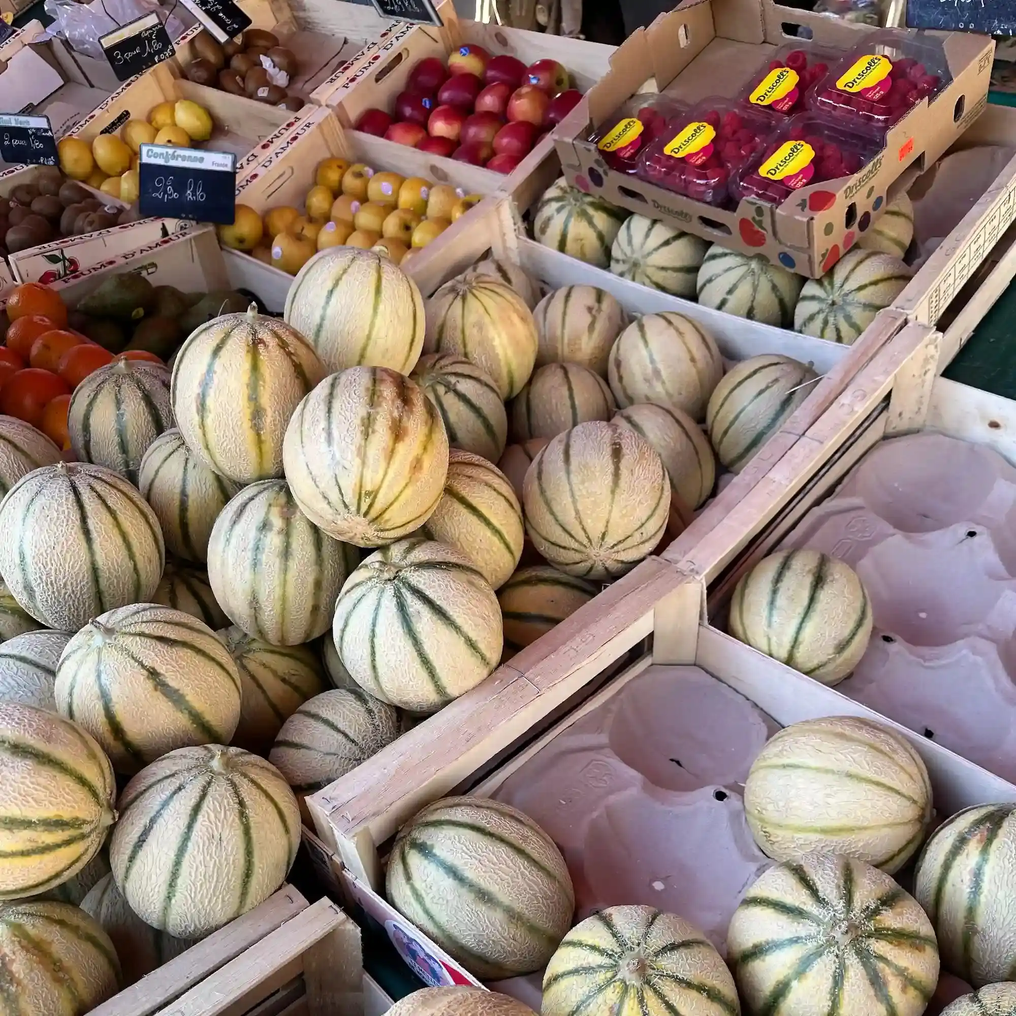 Etale de marché melons